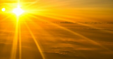Shine, Jesus Shine