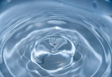 Scripture Soundbite 12.01.26